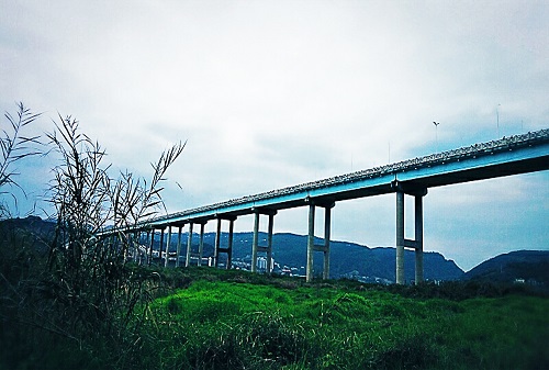 广阳岛大桥 广阳岛大桥